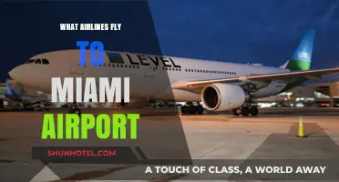 Airlines Serving Miami Airport: Your Comprehensive Flight Guide