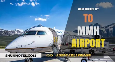 Discover Airlines Serving MMH Airport: Your Ultimate Travel Guide