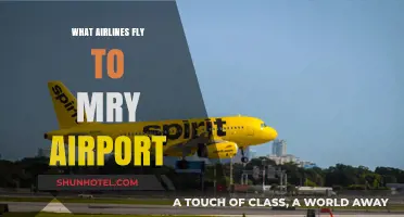 Discover Airlines Serving MYR Airport: Your Ultimate Travel Guide