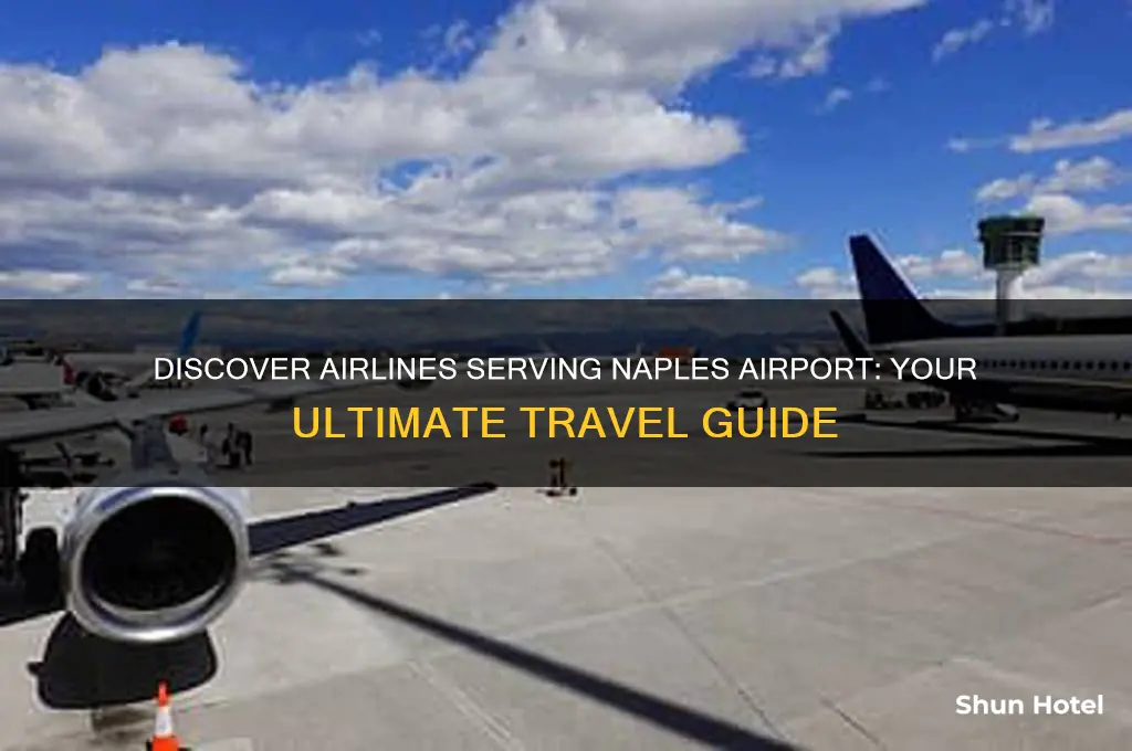 what airlines fly to naples airport