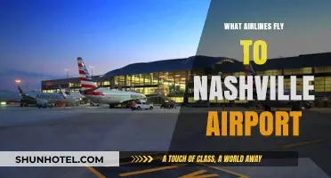 Airlines Serving Nashville: Your Guide to Flights at BNA Airport