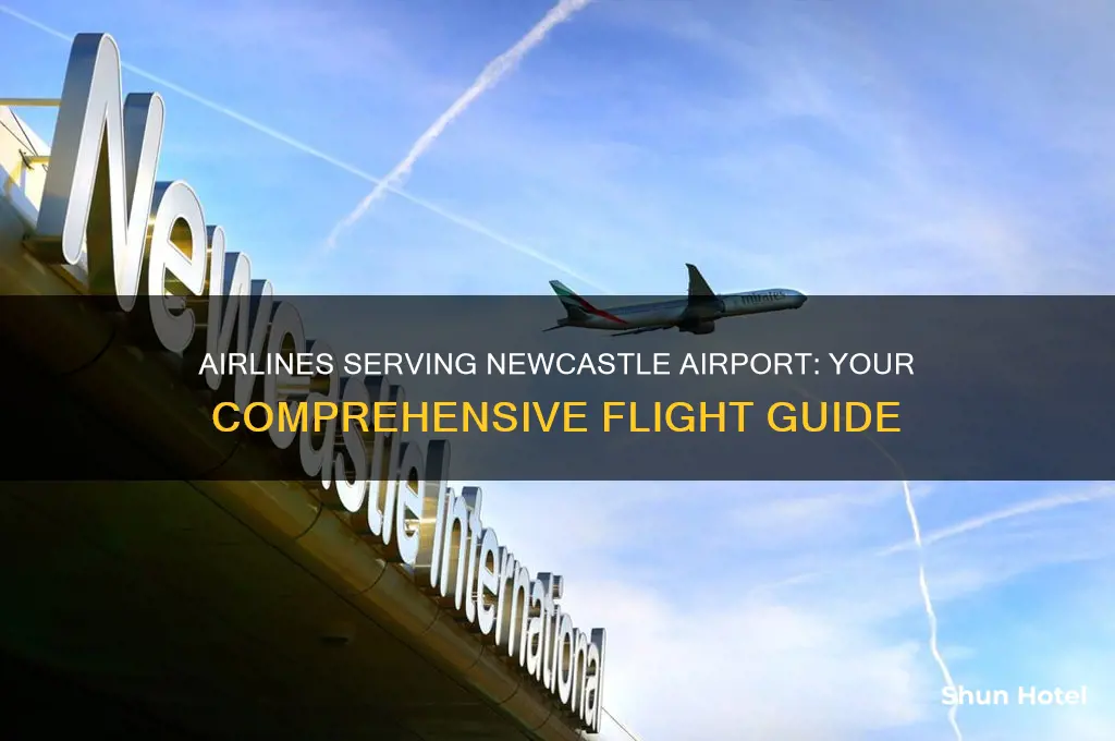 what airlines fly to newcastle airport