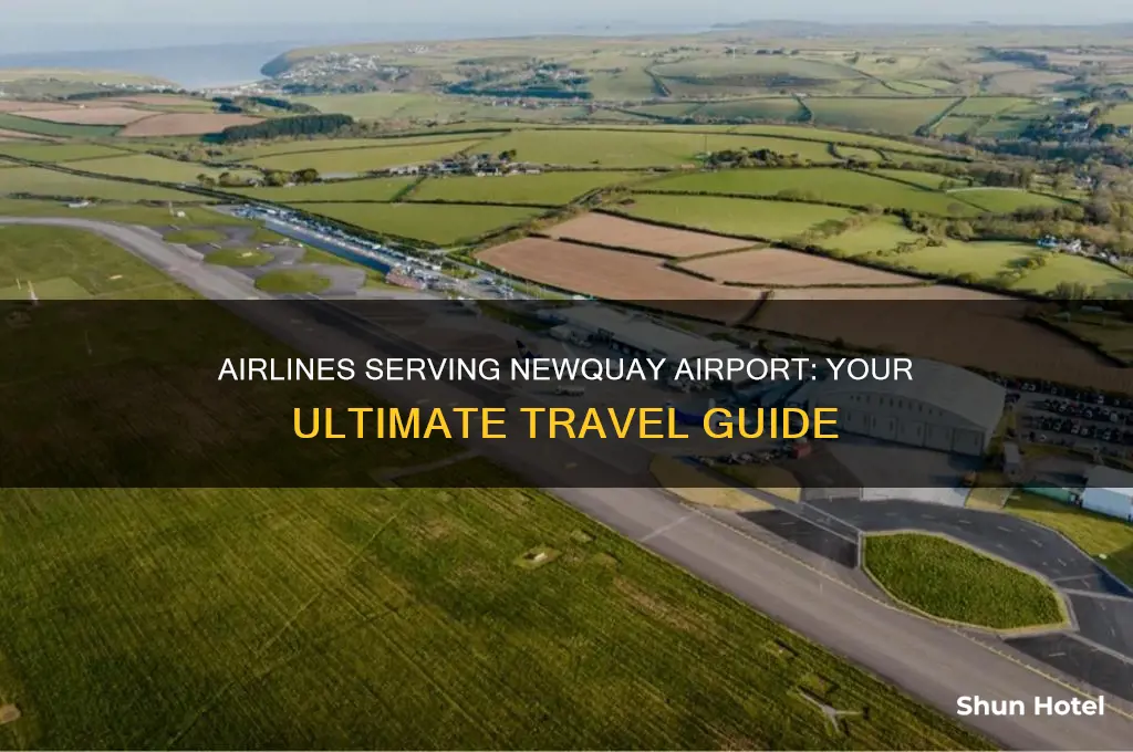 what airlines fly to newquay airport