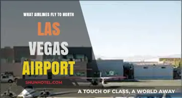 Airlines Serving North Las Vegas Airport: Your Comprehensive Flight Guide