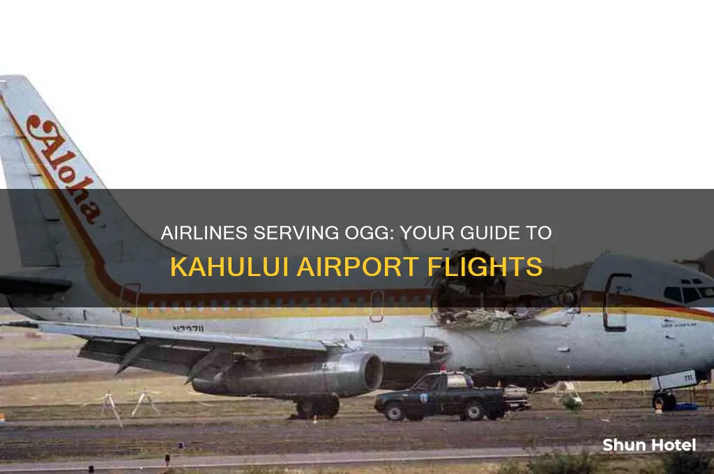 what airlines fly to ogg airport