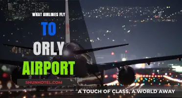 Airlines Serving Orly Airport: Your Comprehensive Flight Guide