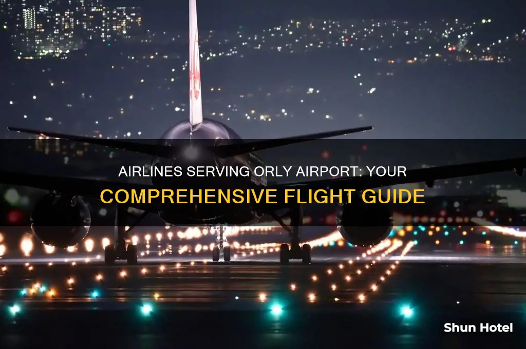 what airlines fly to orly airport