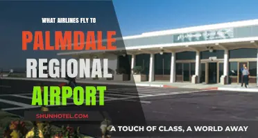 Airlines Serving Palmdale Regional Airport: Your Complete Flight Guide