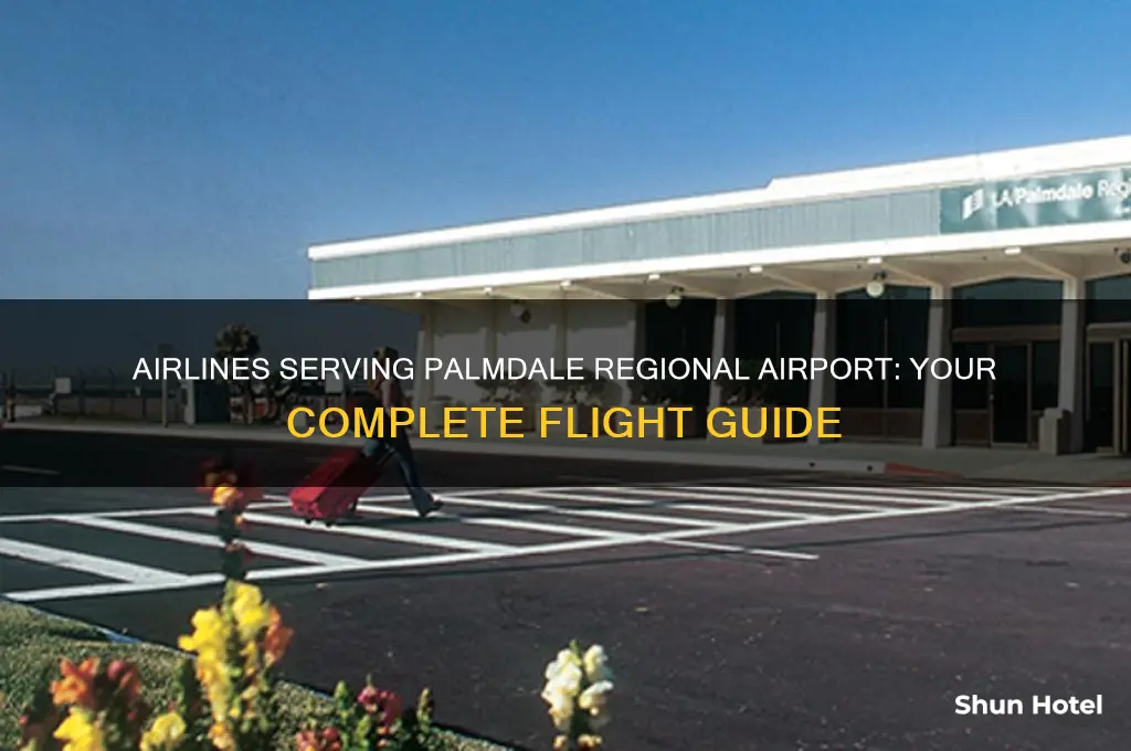 what airlines fly to palmdale regional airport