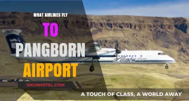 Airlines Serving Pangborn Airport: Your Complete Travel Guide