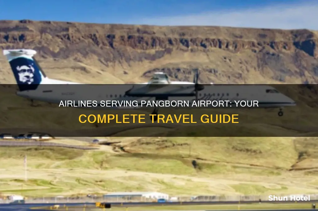 what airlines fly to pangborn airport
