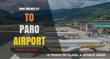 Airlines Serving Paro Airport: Your Guide to Bhutan Flights