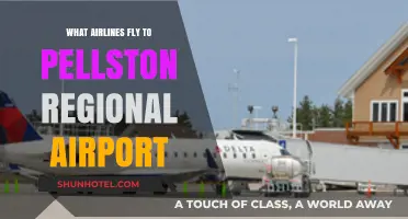 Airlines Serving Pellston Regional Airport: Your Complete Travel Guide