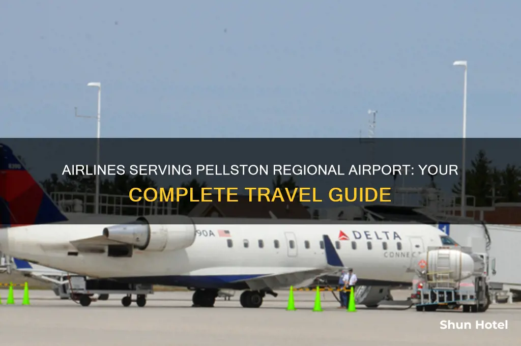 what airlines fly to pellston regional airport