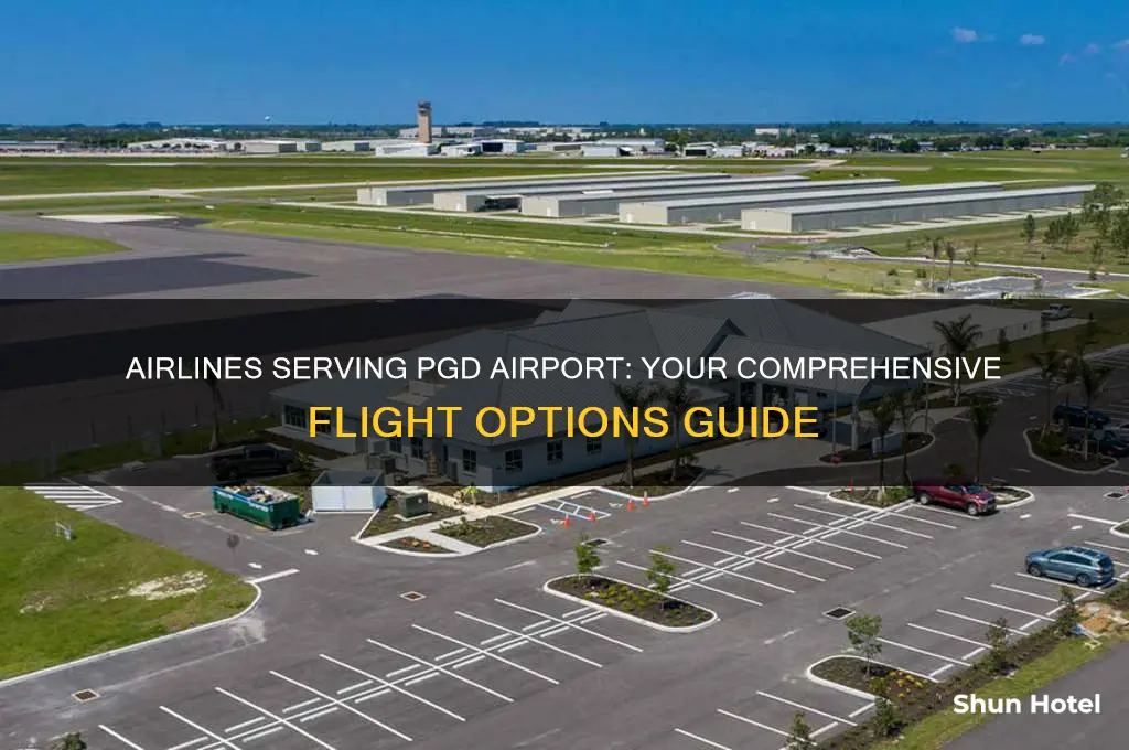 what airlines fly to pgd airport