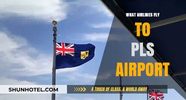 Airlines Serving PLS Airport: Your Guide to Providenciales Flights