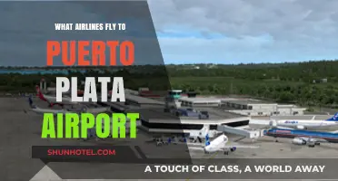 Airlines Serving Puerto Plata Airport: Your Ultimate Travel Guide