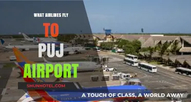 Airlines Serving PUJ Airport: Your Guide to Punta Cana Flights