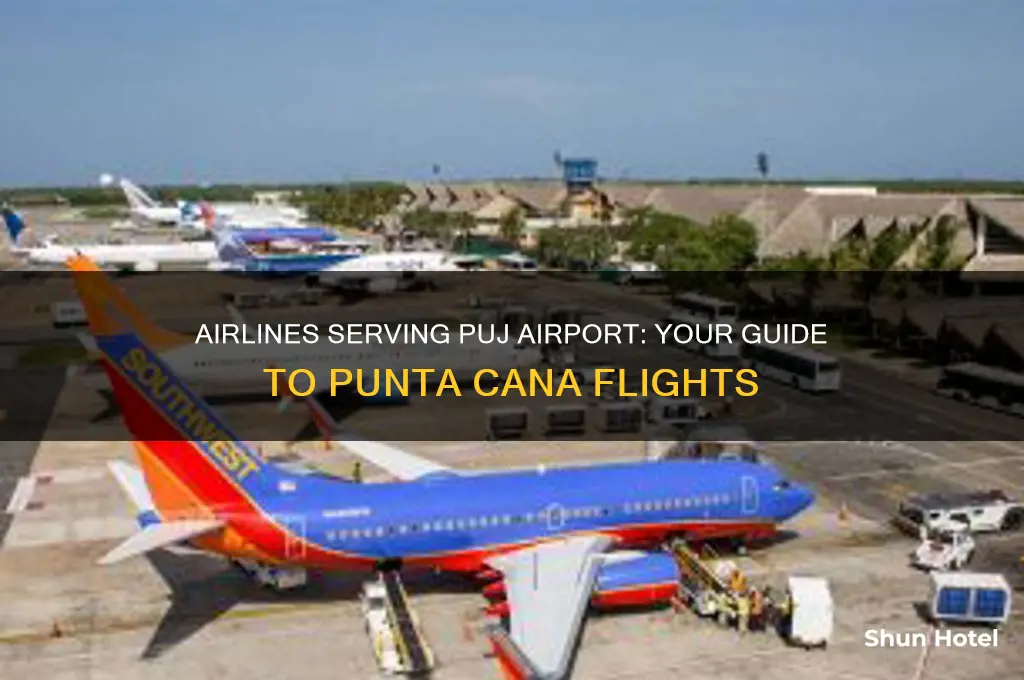 what airlines fly to puj airport
