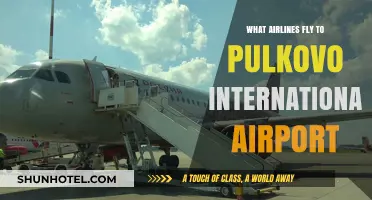 Airlines Serving Pulkovo International Airport: Your Comprehensive Guide