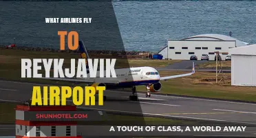 Airlines Serving Reykjavik Airport: Your Ultimate Travel Guide to Iceland