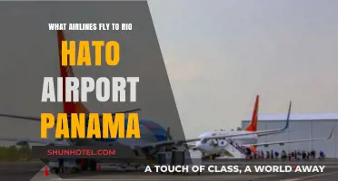Airlines Serving Rio Hato Airport, Panama: Your Ultimate Travel Guide
