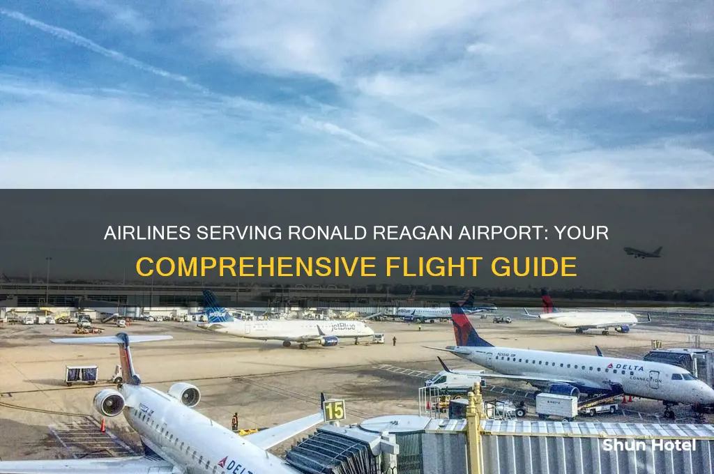 what airlines fly to ronald reagan airport