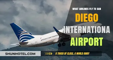 Airlines Serving San Diego: Your Complete Guide to Carriers