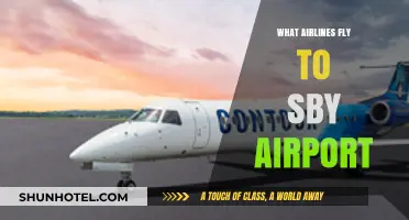 Airlines Serving SBY Airport: Your Comprehensive Flight Guide