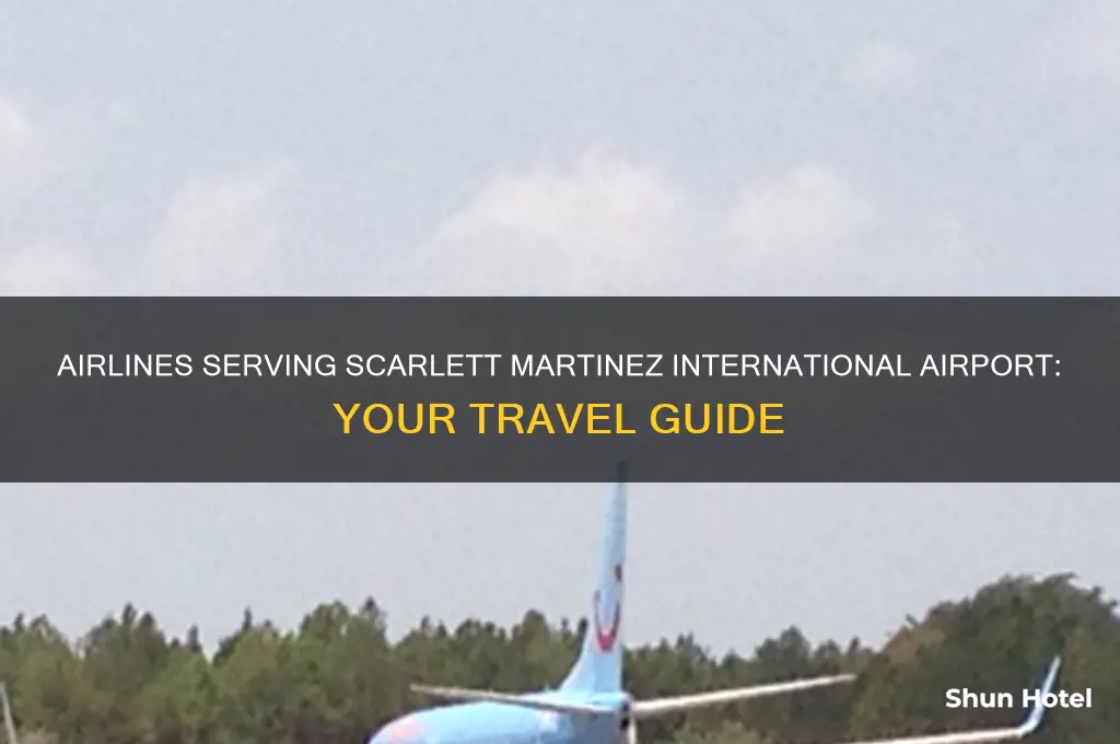 what airlines fly to scarlett martinez international airport
