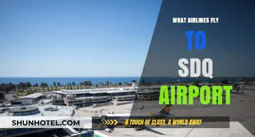 Airlines Serving SDQ Airport: Your Comprehensive Flight Guide