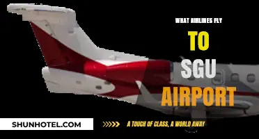 Airlines Serving SGU Airport: Your Comprehensive Travel Guide