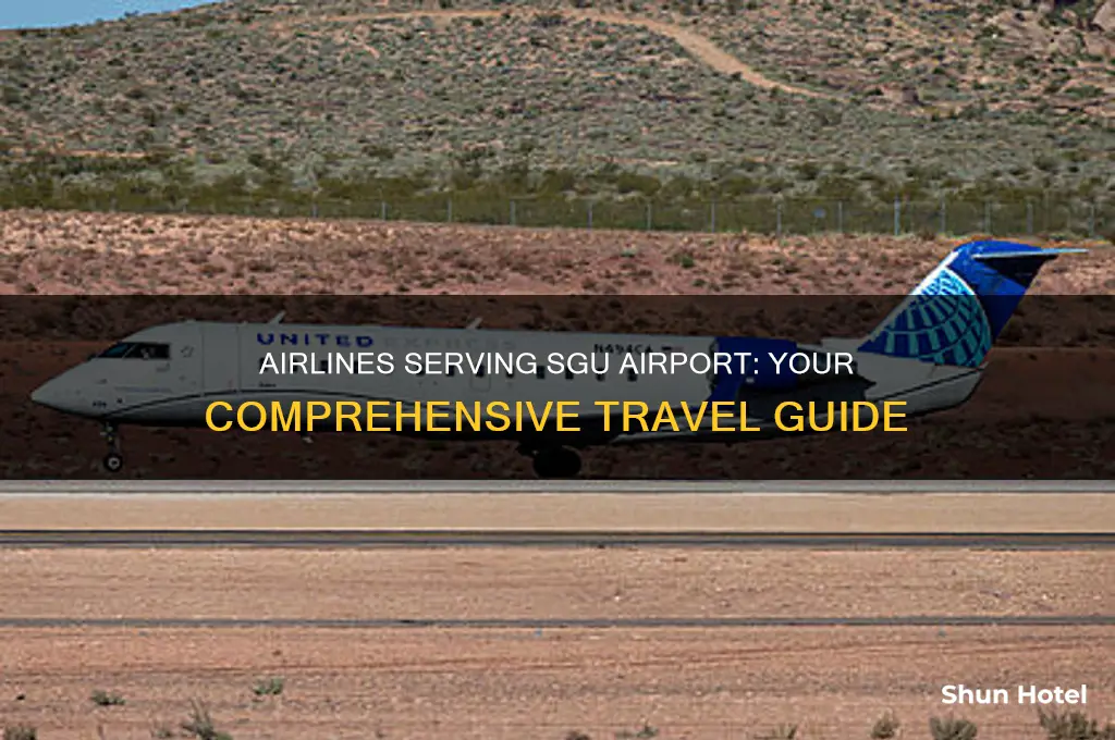 what airlines fly to sgu airport