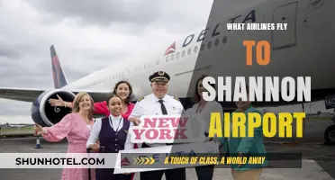 Airlines Serving Shannon Airport: Your Comprehensive Flight Guide