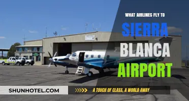 Airlines Serving Sierra Blanca Airport: Your Comprehensive Flight Guide