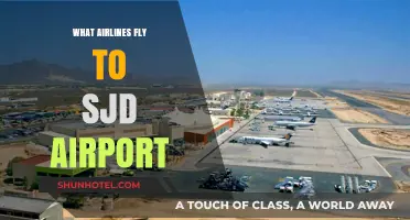 Airlines Serving SJD Airport: Your Complete Guide to Flights
