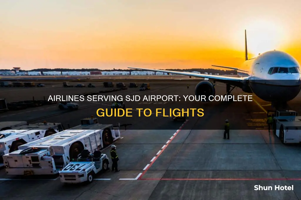 what airlines fly to sjd airport