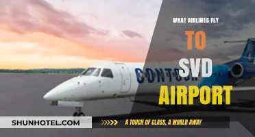 Discover Airlines Serving SVD Airport: Your Ultimate Flight Guide