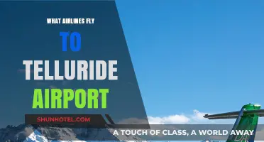 Airlines Serving Telluride Airport: Your Ultimate Travel Guide