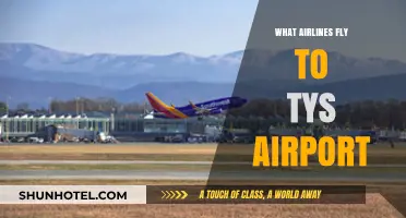 Airlines Serving TYS Airport: Your Complete Guide to Flights