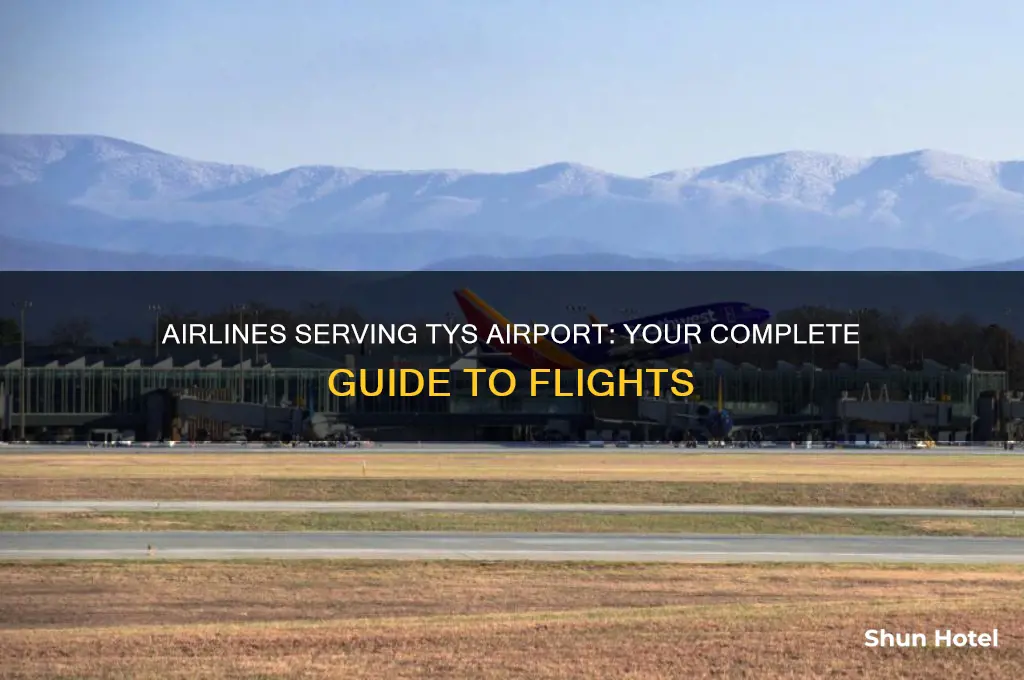 what airlines fly to tys airport