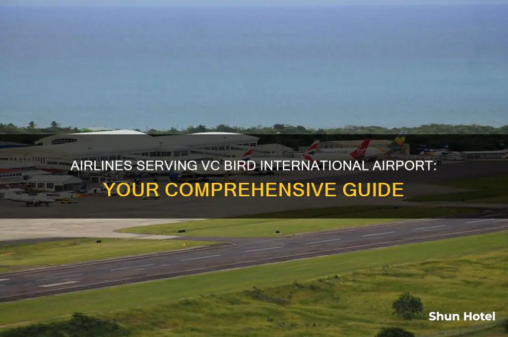 what airlines fly to vc bird international airport