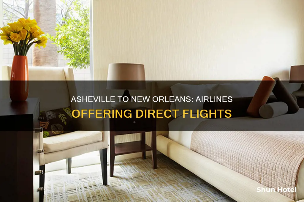 what airlines go from asheville international airport to new orleans