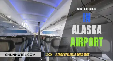 Alaska's Airports: Which Airlines Fly Here?