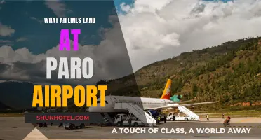 Paro Airport: Exclusive Airlines Access to Bhutan's Paradise