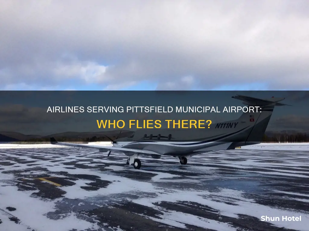 what airlines serve pittsfield municipal airport