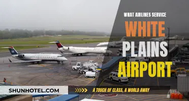 White Plains Airport: Airlines and Their Services