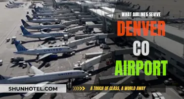 Denver Airport: Airlines Serving the Mile High City