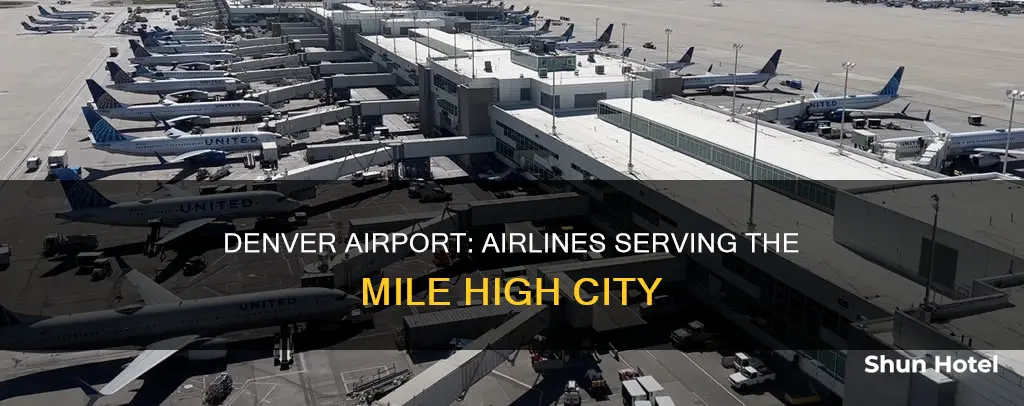 what airlines sevive denver co airport