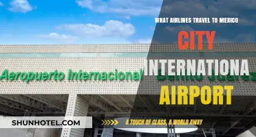 Airlines Flying to Mexico City International Airport: Your Travel Guide